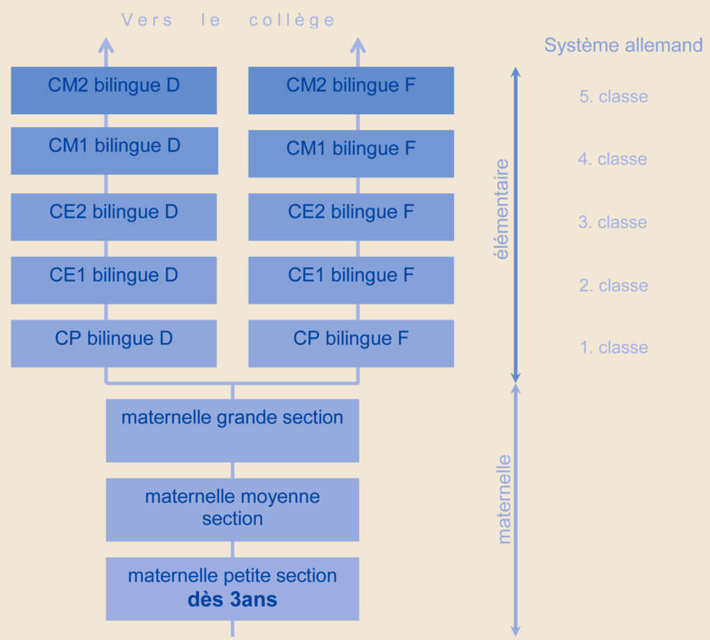 pedagogie_primaire_graphique_parcours