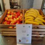 LFVH restauration scolaire fruits