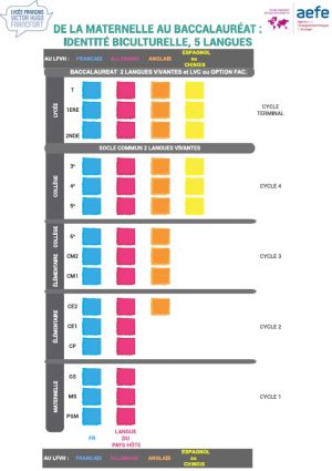 schema langues LFVH 2022